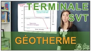 Géotherme  SVT Terminale  Les Bons Profs [upl. by Eduam]