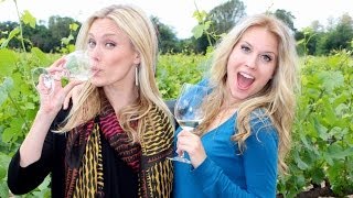 Napa Valley CA Travel Guide  quotGo or Noquot Review  Travel Guides  How 2 Travelers [upl. by Maggie235]