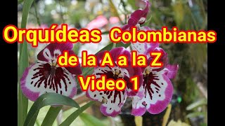 Orquídeas Colombianas de la A a la Z Video 1 [upl. by Gabriello]