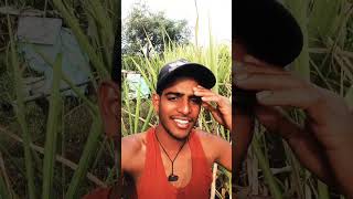 dilip Ray cg song nwe  gajra khopa wali  viral new shortsvideo [upl. by Jasmine]