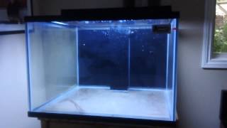 My new 150 gallon Cube Aquarium [upl. by Atiuqel]