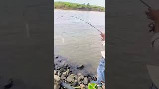 paplet fishintwolessfishinthesea httpsyoutubecomvectorsi6pW8VxUNECackcs [upl. by Ahsinnod]