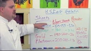 Understanding Gelatin Sheets V Powder Pt 1 of 3 [upl. by Annayhs]