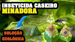 Elimina Larva MINADORA das Folhas e dos Cítricos Inseticida CASEIRO para Plantas [upl. by Enrobyalc715]