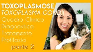 Toxoplasmose toxoplasma gondii  Parte 2  PARASITOLOGIA 4 [upl. by Casilde206]