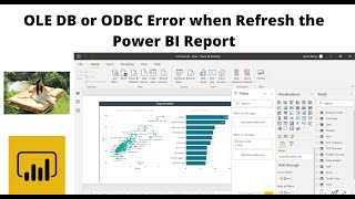 OLE DB error OLE DB or ODBC error Operation canceled [upl. by Bock]