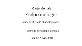 Physiologie  carte mentale 005c – Endocrinologie – Dr Pauline Neveu [upl. by Eelir]