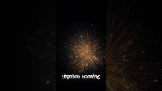 Skyshot Testing crackers crackerstesting2021 crazy [upl. by Toomin397]