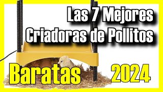 🐥🔥 Las 7 MEJORES Criadoras de Pollitos BUENAS y BARATAS 2024✅CalidadPrecio Titan  Ajustables [upl. by Stanislaus]