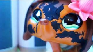 Littlest Pet Shop Popular Episode 15 It All Comes Crashing Down Soustitres français [upl. by Aletta]