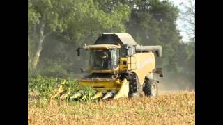 Moisson du maïs 2010corn harvest with New Holla CX8040 in France [upl. by Norina]