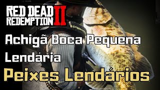 ACHIGÃ BOCA PEQUENA LENDÁRIA  RED DEAD REDEMPTION 2 [upl. by Brooks204]