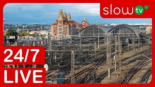 🔴 4K LIVE Trainspotting on Prague Main Station  247 LIVE [upl. by Kenrick]