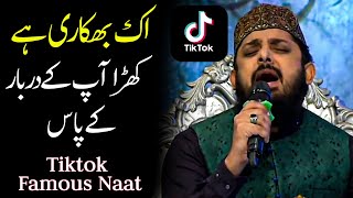 ik bhikari hai khara aap ke darbar ke paas Zohaib Ashrafi Naat  Tiktok famous naat sharif 2024 [upl. by Anirrehs576]