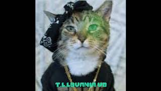 TLlovania A Thug Life Cat Megalo V8 By Evie [upl. by Ellenij]