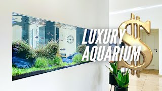 400 Liters Aquascape Tutorial after 1095 Days [upl. by Aubert]