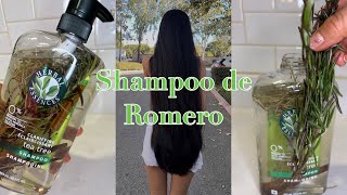 Shampoo de romero  crece pelo [upl. by Oznecniv953]