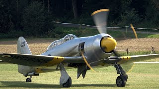 4Kᵁᴴᴰ HAWKER SEA FURY T20 WG655 GINVN quotINVINCIBLEquot FAST amp FURIOUS  HAHNWEIDE AIRSHOW 2019 [upl. by Odranar]