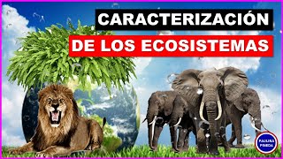 CARACTERISTICAS DE LOS ECOSISTEMAS 🦁🌳🏞🪐 semarnatmexico greenpeace ecosis [upl. by Agripina710]