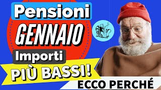 PENSIONI GENNAIO 2024 👉 IMPORTO PIÙ BASSO sul CEDOLINO❓ Ecco perché [upl. by Bethanne]