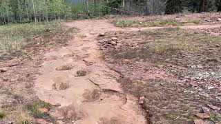 Longest Dinosaur Trackway [upl. by Eli]