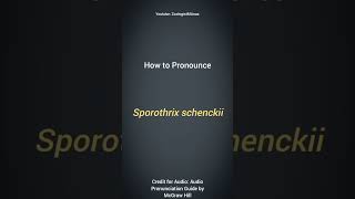 Sporothrix schenckii Pronunciation  Microbiology Pronunciation Guide  Biological Names [upl. by Ordisy]