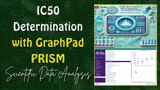 IC50 Determination with GraphPad PRISM  Data Analysis Tutorial [upl. by Ellives39]