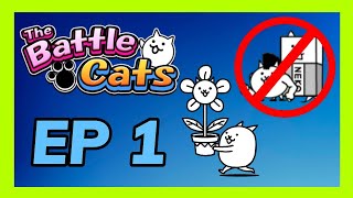 Can I Beat Battle Cats without Meatshields  Episode 1  The Flower Arc [upl. by Bordiuk]