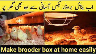 How To Make Brooder Box For BirdsHomemade Chicken Brooder setup urdu [upl. by Heydon]