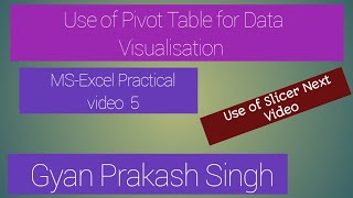 Data Visualisation By TablesPivot TableMSExcel [upl. by Nodyarg]