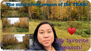 Fall season in Moosehead Maine USA 2023 Scenic drive and siteseeing [upl. by Aes]