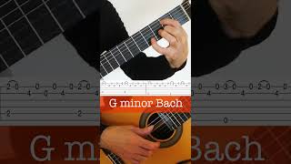 G minor Bach BachLuo Ni Arrangement for Guitar [upl. by Tiemroth]