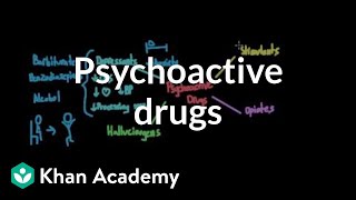 Overview of psychoactive drugs  Processing the Environment  MCAT  Khan Academy [upl. by Eirffej]