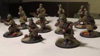 Warlord Polish Infantry Squad in Greatcoats Review [upl. by Carrington461]