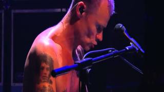 Red Hot Chili Peppers  Fleas Piano Solo  Live in Köln 2011 HD [upl. by Kumar]