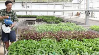 Robrick Nursery Benjamin Tran CEO  Terra Vera Testimonial [upl. by Royd719]