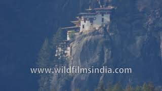 Taktsang Monastery  Tigers Nest Monastery in Paro Bhutan [upl. by Yllatan]