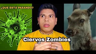 Que esta pasando con el Virus Ciervo Zombie [upl. by Oman]