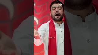 Hussain Ki Marzi  Mir Hasan Mir [upl. by Ytsud]