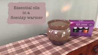 Essential oils in a Scentsy warmer [upl. by Ahcsatan599]