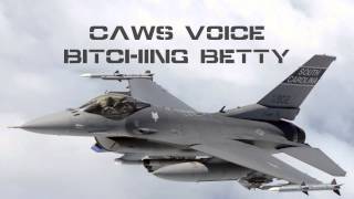 CAWS Voice Bitching Betty [upl. by Gauntlett965]