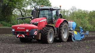 Massey Ferguson 7726 S DVT Lemken Imants Huiskamp unieke maiszaaicombinatie Trekkerweb [upl. by Hickie]