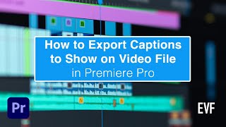 Export Captions to Show on Video in Premiere Pro [upl. by Nnylidnarb]