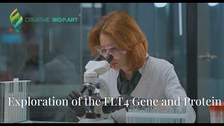 Exploration of the FLT4 Gene and Protein [upl. by Silberman]