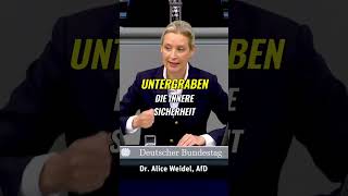 Die Heimat und Sicherheit der Deutschen ist bedroht afd [upl. by Kcirderfla848]