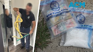 Four men charged with alleged drug ring involvement through NSW Central West [upl. by Gine]