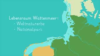 Ein Tag im Wattenmeer einfach erklärt  sofatutor [upl. by Erdnoed]