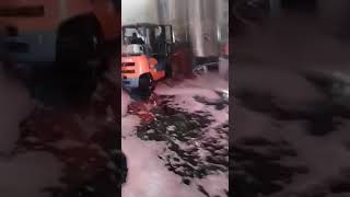 Accidente en una bodega de San Carlos derramó miles de litros de vino [upl. by Naik]