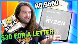 AMD Ryzen 5 5600 vs i512400 amp 5600X CPU Review amp Benchmarks [upl. by Frodina784]