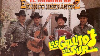 Los Gallitos Del Sur  El Corrido De Ermilio Hernandez Album Completo [upl. by Eyahs797]